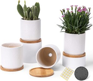 A collection of well-designed succulent drainage pots, featuring functional and stylish designs that promote healthy plant growth by allowing excess water to escape, while adding a touch of elegance to your space.
